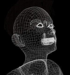 Detail of Poser wireframe