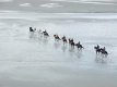 Cavaliers dans la Baie du Mont Saint-Michel